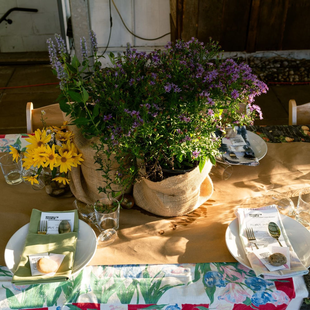 Pollinate your plate farm dinner